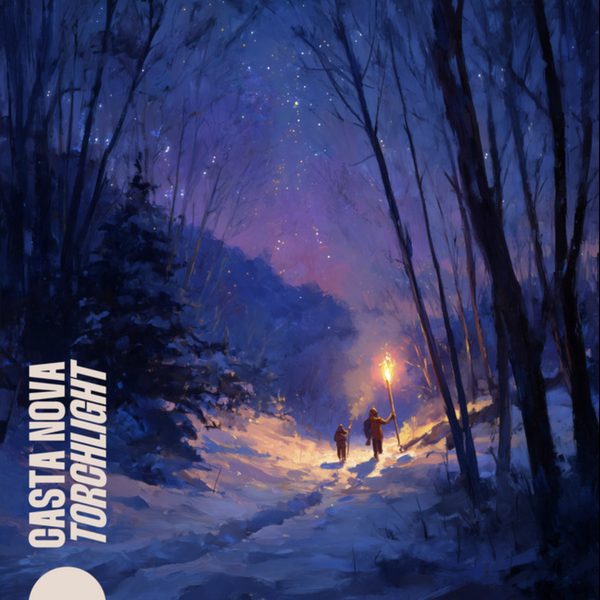 Portada de «Torchlight»